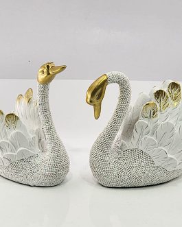 זוג ברבורים לבנים