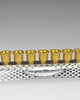 חנוכיה פס"כריות" משולבת כסף זהב8X30ס'מ