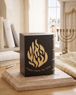 קופת צדקה פולי שחור האש שלי זהב
